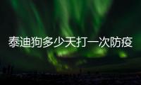 泰迪狗多少天打一次防疫針好(泰迪狗多少天打疫苗最好)