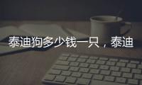 泰迪狗多少錢一只，泰迪狗多少錢一只黑色