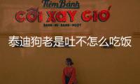 泰迪狗老是吐不怎么吃飯怎么回事？泰迪狗老是吐不吃東西