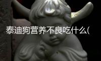 泰迪狗營養不良吃什么(女性營養不良吃什么補得快)