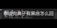 泰迪狗鼻子有黑痣怎么回事？泰迪狗鼻子有黑痣好不好