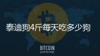 泰迪狗4斤每天吃多少狗糧，泰迪狗4斤每天吃多少狗糧正常