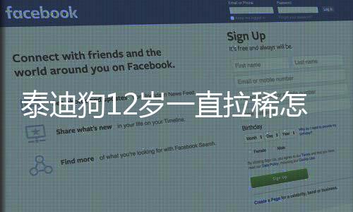 泰迪狗12歲一直拉稀怎么辦啊吃什么藥(泰迪十二歲)