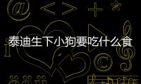 泰迪生下小狗要吃什么食物？泰迪生下小狗要吃什么補(bǔ)充營養(yǎng)