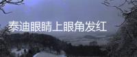 泰迪眼睛上眼角發紅  泰迪眼睛眼角發紅