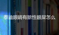 泰迪眼睛有膿性眼屎怎么辦(泰迪眼睛睜不開老是瞇著)