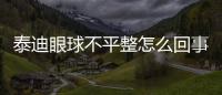 泰迪眼球不平整怎么回事？泰迪眼球不平整正常嗎