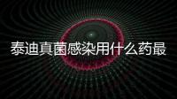 泰迪真菌感染用什么藥最好(泰迪皮膚真菌感染)