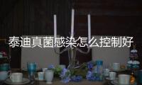 泰迪真菌感染怎么控制好？泰迪真菌感染用什么藥最好