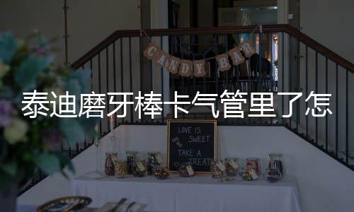 泰迪磨牙棒卡氣管里了怎么辦？泰迪磨牙棒一次啃多久