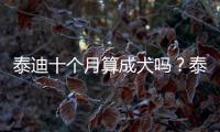泰迪十個月算成犬嗎？泰迪10個月算成犬嗎