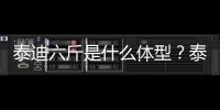 泰迪六斤是什么體型？泰迪狗六斤是玩具嗎