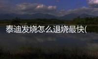 泰迪發燒怎么退燒最快(幼犬發燒了怎么辦如何退燒)