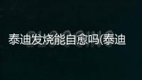 泰迪發燒能自愈嗎(泰迪發燒有什么癥狀)