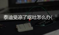 泰迪受涼了嘔吐怎么辦(泰迪受涼了怎么辦)