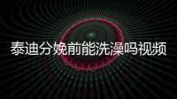 泰迪分娩前能洗澡嗎視頻？泰迪狗產前能洗澡嗎