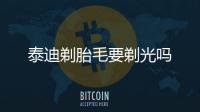 泰迪剃胎毛要剃光嗎