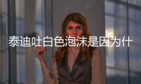 泰迪吐白色泡沫是因為什么(泰迪吐白色粘液)