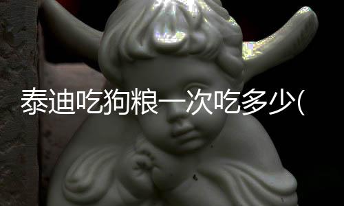 泰迪吃狗糧一次吃多少(泰迪狗吃狗糧好還是吃飯好)
