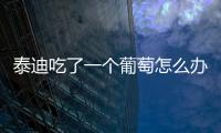 泰迪吃了一個葡萄怎么辦呢？泰迪吃了一個葡萄怎么辦沒事吧