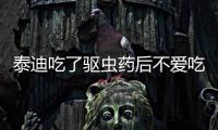 泰迪吃了驅(qū)蟲藥后不愛吃飯了(泰迪不愛吃飯?jiān)趺椿厥?