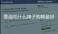 泰迪吃什么牌子狗糧最好(泰迪狗狗吃什么牌子的狗糧好)