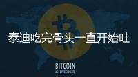 泰迪吃完骨頭一直開始吐(泰迪吃了排骨嘔吐怎么辦呀)