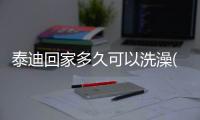 泰迪回家多久可以洗澡(泰迪打完針幾天可以洗澡)