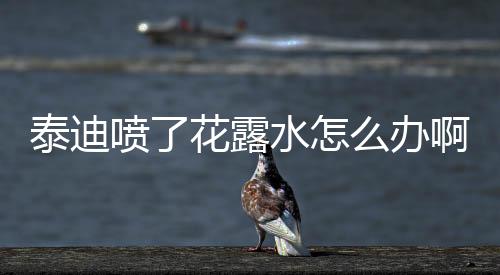 泰迪噴了花露水怎么辦啊？泰迪舔了花露水怎么辦