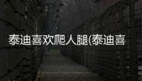 泰迪喜歡爬人腿(泰迪喜歡抱腿)