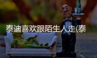 泰迪喜歡跟陌生人走(泰迪喜歡陌生人抱,主人叫也不回來(lái))