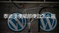 泰迪便便尾部便血怎么回事(泰迪便便尾部便血怎么辦)