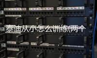 泰迪從小怎么訓練(兩個月泰迪怎么訓練)