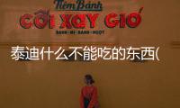 泰迪什么不能吃的東西(泰迪不能吃的東西)
