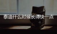 泰迪什么時候長得快一點？泰迪狗狗什么時候長的最快