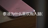 泰迪為什么喜歡抱人腿(泰迪為什么總是扒人腿)