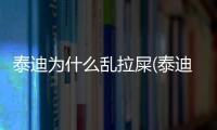 泰迪為什么亂拉屎(泰迪為什么到處拉屎)