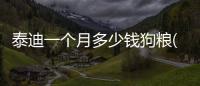 泰迪一個月多少錢狗糧(泰迪一個月多少錢一只)