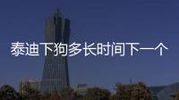 泰迪下狗多長時間下一個，泰迪下崽間隔多久下一個