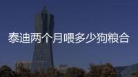 泰迪兩個月喂多少狗糧合適