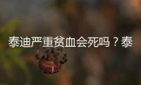 泰迪嚴重貧血會死嗎？泰迪貧血癥狀