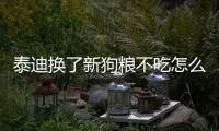 泰迪換了新狗糧不吃怎么辦？小泰迪換狗糧了不吃
