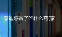 泰迪感冒了吃什么藥(泰迪感冒的癥狀有哪些)