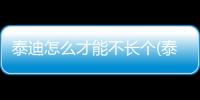 泰迪怎么才能不長個(泰迪怎么才能胖)