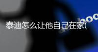 泰迪怎么讓他自己在家(怎么在家給泰迪美容)