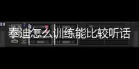 泰迪怎么訓練能比較聽話？ 怎樣訓練泰迪