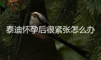 泰迪懷孕后很緊張?jiān)趺崔k？泰迪懷孕哆嗦怎么回事