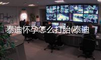 泰迪懷孕怎么打胎(泰迪懷孕了可以打胎嗎)
