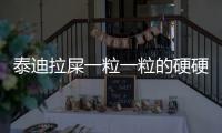 泰迪拉屎一粒一粒的硬硬的(泰迪拉屎有血怎么回事)
