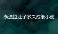 泰迪拉肚子多久成細(xì)小便，泰迪拉肚子多久成細(xì)小病毒
